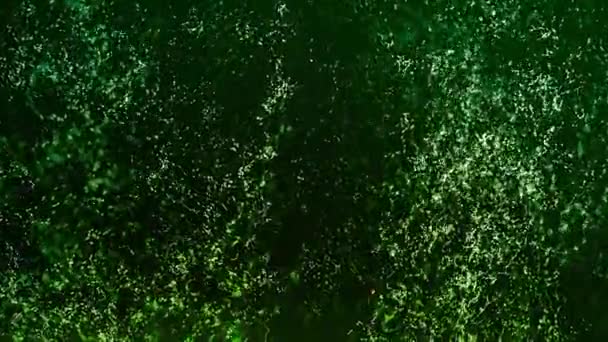 Enxame Verde Néon Partículas Brilhantes Ascensão Faixas Luz Mostra Produto — Vídeo de Stock