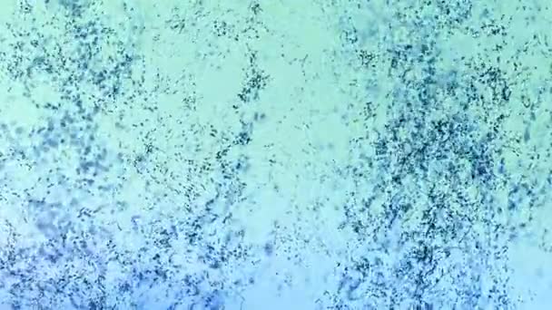 Abstrait Ambiant Tourbillonnant Lumineux Bleu Particules Animation Concept Relaxant Animation — Video