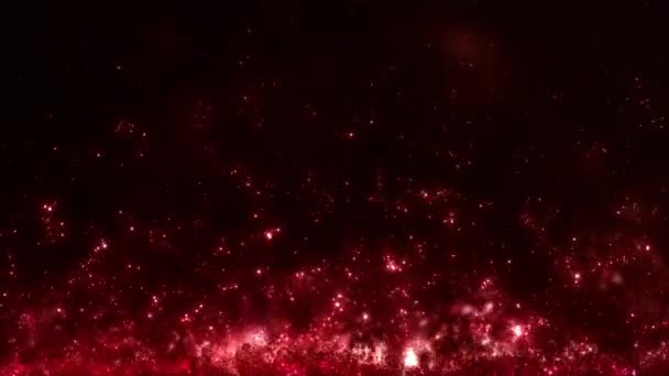 Красный Фиолетовый Рой Восходящих Светящихся Частиц Блестящая Витрина Люксовых Товаров — стоковое видео