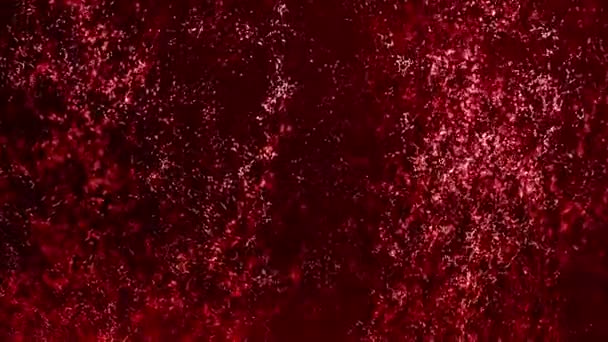 Červený Purpurový Roj Stoupajících Zářících Světelných Paprsků Slavnostní Lesklý Luxusní — Stock video
