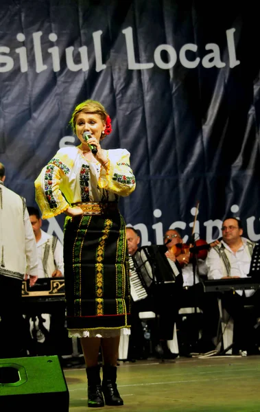 Targu Jiu Romania Maggio 2018 Artista Costume Bucovina Alle Giornate — Foto Stock