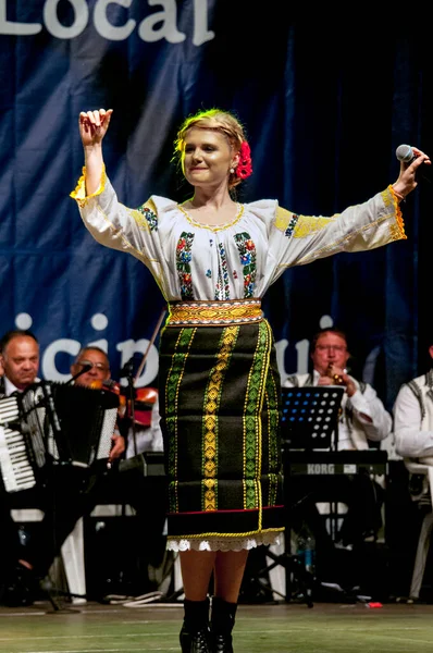 Targu Jiu Romania May 2018 Artist Costume Bucovina Attargu Jiu — Stock Photo, Image