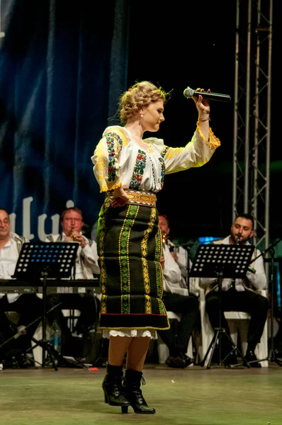 Targu Jiu Romania Május 2018 Artist Dress Bucovina Targu Jiu — Stock Fotó