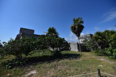 The Mayan citadel of Tulum on Caribbean SeaTulum was built to be a harbor fortress, on ocean cliffs, providing protection from the East and a limestone wall surrounding rest of city on three sides