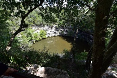 A cenote is a natural pit, or sinkhole, resulting from collapse of limestone bedrock that exposes groundwater in Mexico s Yucatan Peninsula, where they were used for water supplies and for sacrifices