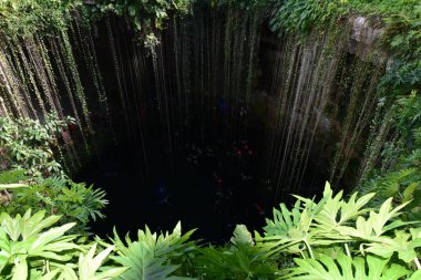 A cenote is a natural pit, or sinkhole, resulting from collapse of limestone bedrock that exposes groundwater in Mexico s Yucatan Peninsula, where they were used for water supplies and for sacrifices