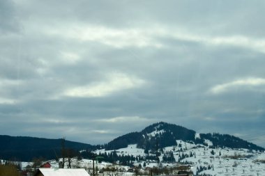 Winter landscape with snowy fir forest and cloudy sky at Tihuta pass in Carpathian mountains