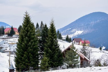 Winter landscape with snowy fir forest, holiday houses, buildings and cloudy sky at Tihuta pass in Carpathian mountains, view from Fantanele stone