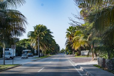 Palm trees line the highways of the Riviera Maya, considered a Mexican paradise renowned for its historic tourist base with high end hotels and restaurants