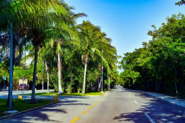Palm trees line the highways of the Riviera Maya, considered a Mexican paradise renowned for its historic tourist base with high end hotels and restaurants