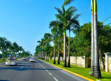 Palm trees line the highways of the Riviera Maya, considered a Mexican paradise renowned for its historic tourist base with high end hotels and restaurants