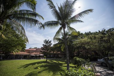 Palm trees line the highways of the Riviera Maya, considered a Mexican paradise renowned for its historic tourist base with high end hotels and restaurants
