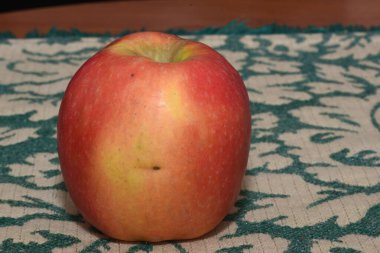 Close-up of a red and yellow apple. Macro shot