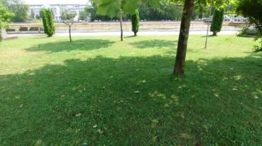 Doğanın güzel manzarası