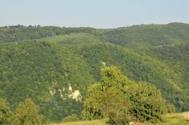 Novaci bölgesindeki manzara, Karpatlar 'ın eteğindeki cennetin bir köşesi, resmi olarak 1502' den beri onaylı, bölge çok daha eski, tarihi kalıntılar onu antik çağlara yerleştirdi..