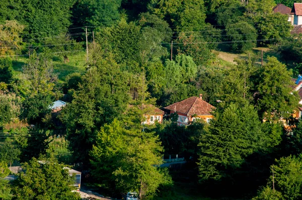 Landskab Novaci Området Hjørne Himlen Ved Foden Karpaterne Officielt Certificeret - Stock-foto
