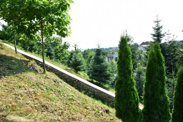 Landskap Novaci Området Ett Hörn Himlen Vid Foten Karpaterna Officiellt — Stockfoto