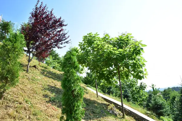 stock image Landscape in the Novaci area, a corner of heaven at the foot of the Carpathians, officially certified since 1502, the locality being much older, the historical vestiges placing it in antiquity.