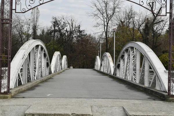 九桥或费迪南桥 九州上的铁桥 始建于1897年7月 1916年10月17日 楚国居民拦住了想占领这座城市的敌军士兵 — 图库照片