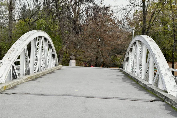 Jembatan Jiu Atau Jembatan Ferdinand Jembatan Besi Atas Jiu Diresmikan — Stok Foto