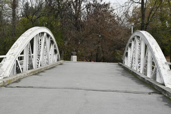 Мост Цзю Мост Фердинанда Железный Мост Через Цзю Открылся Июле — стоковое фото