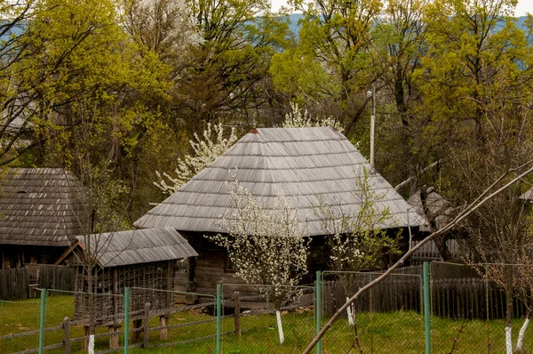 Open Air Museum Folk Architecture Gorj Includes Oldest Most Representative — Stock Photo, Image