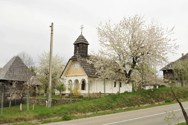 位于罗马尼亚Gorj的Curtisoara村的东正教教堂来自Gorj的露天民俗建筑博物馆包括Gorje最古老和最具代表性的民俗建筑和工艺 — 图库照片
