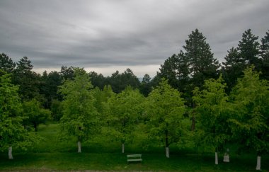Yeşil ormanın manzarası ve dağlardaki mavi gökyüzü.