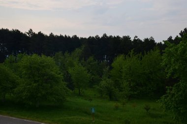 Yeşil ormanın manzarası ve dağlardaki mavi gökyüzü.
