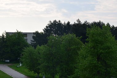 Yeşil ormanın manzarası ve dağlardaki mavi gökyüzü.