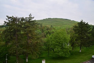 Yeşil ormanın manzarası ve dağlardaki mavi gökyüzü.