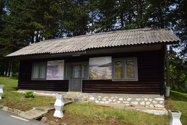 Drewniany Dom Sosnowym Lesie Karpatach Reprezentujący Muzeum Dobrita Pneumofthisiology Hospital — Zdjęcie stockowe