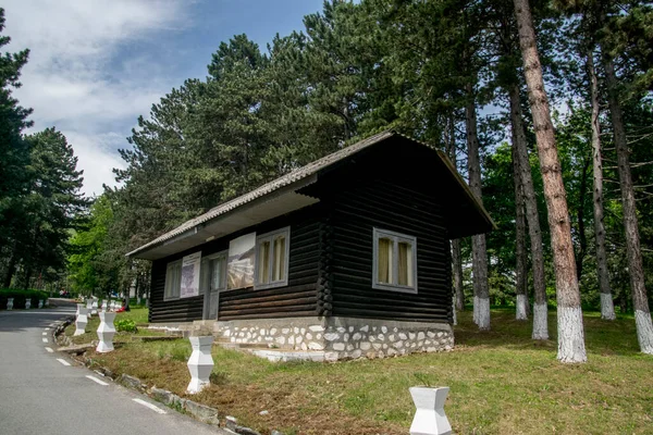 カルパチア山脈の松林の木造住宅ドブリタ空気圧生理学病院の博物館を表す — ストック写真