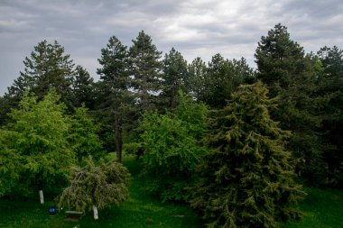Yeşil ormanın manzarası ve dağlardaki mavi gökyüzü.