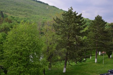 Yeşil ormanın manzarası ve dağlardaki mavi gökyüzü.