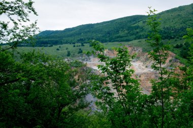 Bir sürü yeşil ağacı olan kireçtaşı ocağının manzarası..