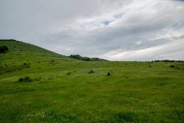 Yeşil ormanın manzarası ve dağlardaki mavi gökyüzü.