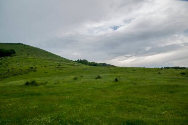 Yeşil ormanın manzarası ve dağlardaki mavi gökyüzü.