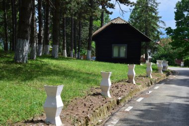 Karpatlar Dağları 'ndaki bir çam ormanındaki ahşap ev Dobrita pnömofofizyoloji hastanesini temsil ediyor.