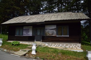 Karpatlar Dağları 'ndaki bir çam ormanındaki ahşap ev Dobrita pnömofofizyoloji hastanesini temsil ediyor.