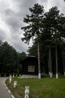 Karpatlar Dağları 'ndaki bir çam ormanındaki ahşap ev Dobrita pnömofofizyoloji hastanesini temsil ediyor.