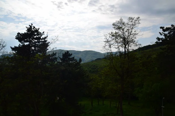 Landschap Uitzicht Het Groene Bos Blauwe Lucht Bergen — Stockfoto
