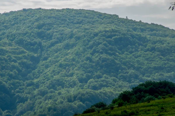 山中绿林蓝天的景观 — 图库照片
