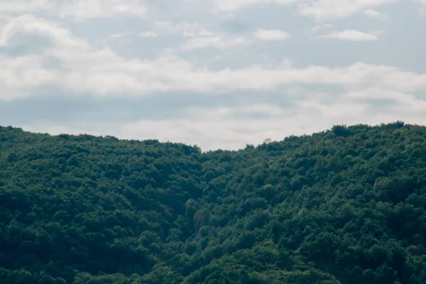 Panorama Della Foresta Verde Del Cielo Azzurro Montagna — Foto Stock