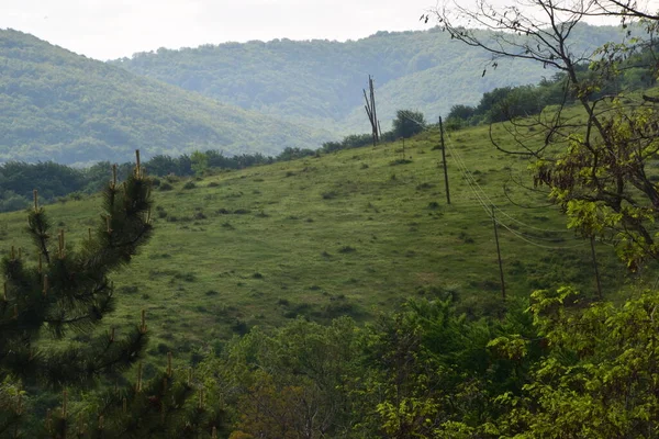 山中绿林蓝天的景观 — 图库照片