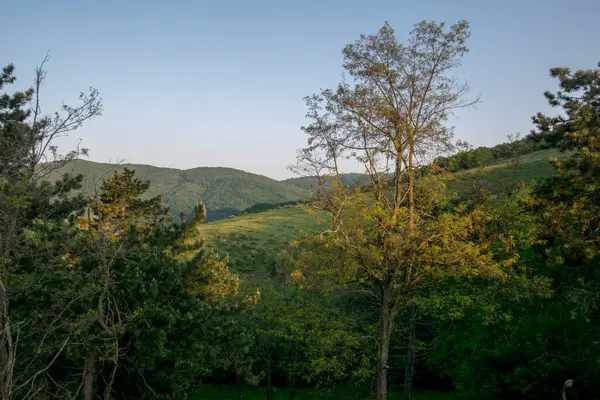 Τοπίο Άποψη Του Πράσινου Δάσους Και Του Γαλάζιου Ουρανού Στα — Φωτογραφία Αρχείου