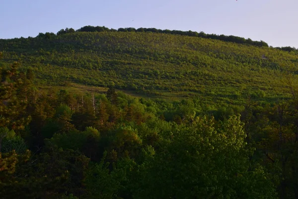 山の中の緑の森と青空の風景 — ストック写真