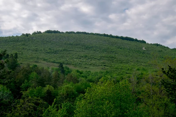 Landskap Utsikt Över Den Gröna Skogen Och Blå Himmel Bergen — Stockfoto