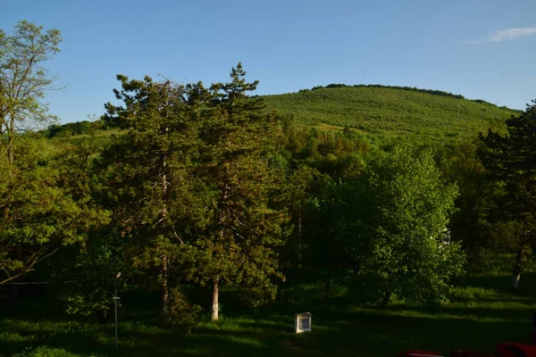 Пейзаж Вид Зеленый Лес Голубое Небо Горах — стоковое фото