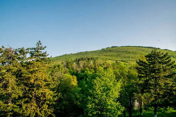 Vista Paisagem Floresta Verde Céu Azul Nas Montanhas — Fotografia de Stock